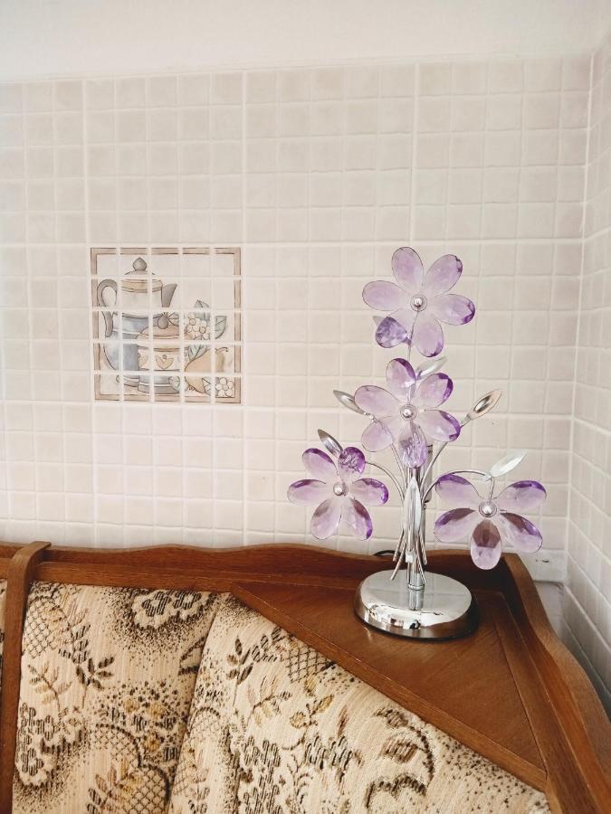 Apartmani Nikolina Ražanac 外观 照片
